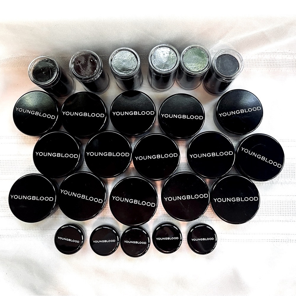 YOUNGBLOOD Bundle NEW Natural Mineral Foundation Blush Hi-DEF Brushes